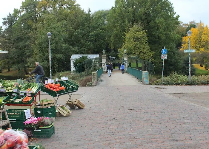 Daire Flieder Zentral